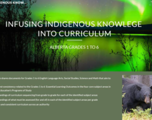 Infusing Indigenous Knowledge Into Curriculum